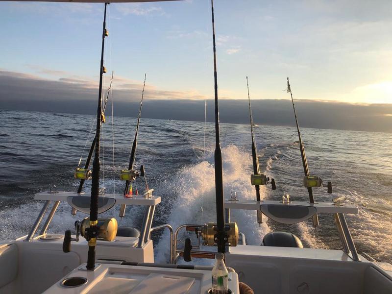 0 Bedroom Property for Sale in St Helena Views Western Cape